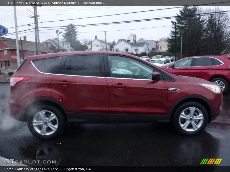 Sunset Metallic / Charcoal Black 2016 Ford Escape SE 4WD