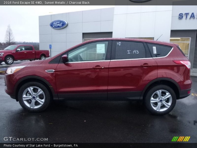 Sunset Metallic / Charcoal Black 2016 Ford Escape SE 4WD