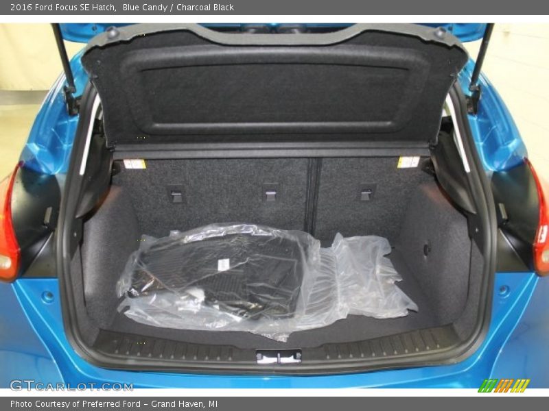 Blue Candy / Charcoal Black 2016 Ford Focus SE Hatch