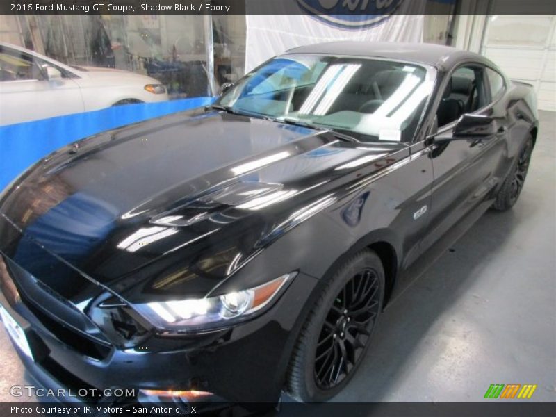 Shadow Black / Ebony 2016 Ford Mustang GT Coupe