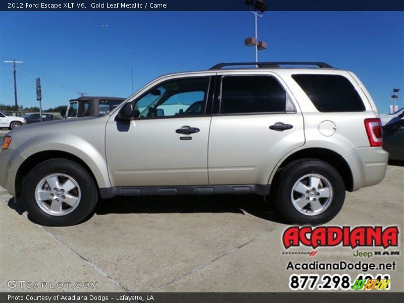 Gold Leaf Metallic / Camel 2012 Ford Escape XLT V6
