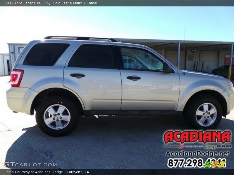 Gold Leaf Metallic / Camel 2012 Ford Escape XLT V6