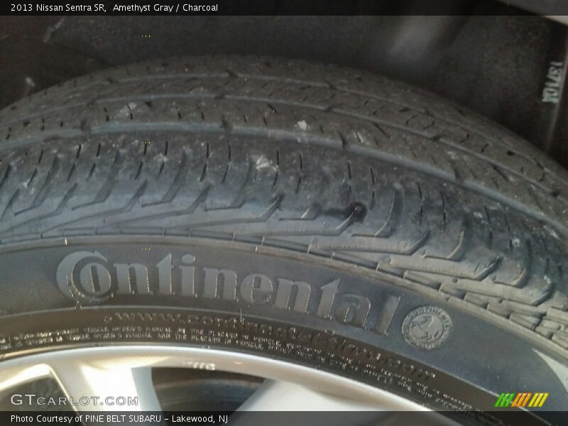 Amethyst Gray / Charcoal 2013 Nissan Sentra SR