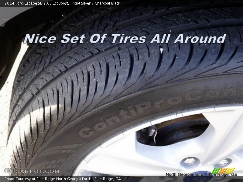 Ingot Silver / Charcoal Black 2014 Ford Escape SE 2.0L EcoBoost