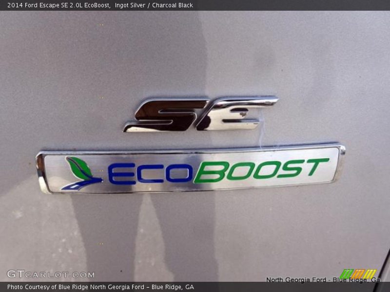 Ingot Silver / Charcoal Black 2014 Ford Escape SE 2.0L EcoBoost