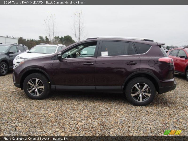  2016 RAV4 XLE AWD Black Currant Metallic