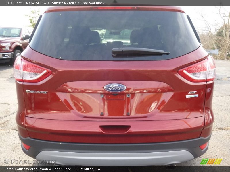 Sunset Metallic / Charcoal Black 2016 Ford Escape SE 4WD