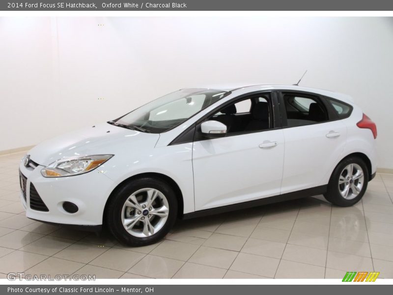 Oxford White / Charcoal Black 2014 Ford Focus SE Hatchback