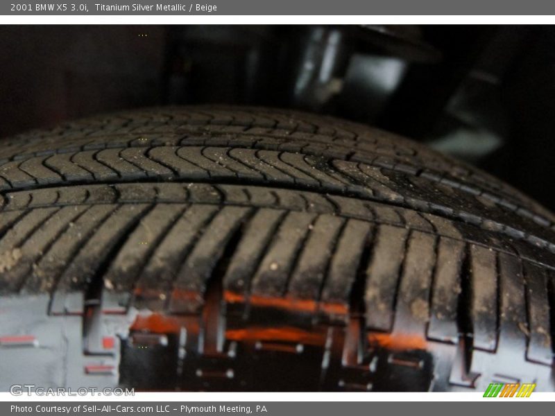 Titanium Silver Metallic / Beige 2001 BMW X5 3.0i