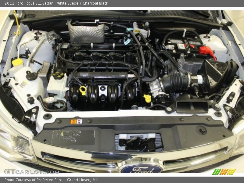 White Suede / Charcoal Black 2011 Ford Focus SEL Sedan