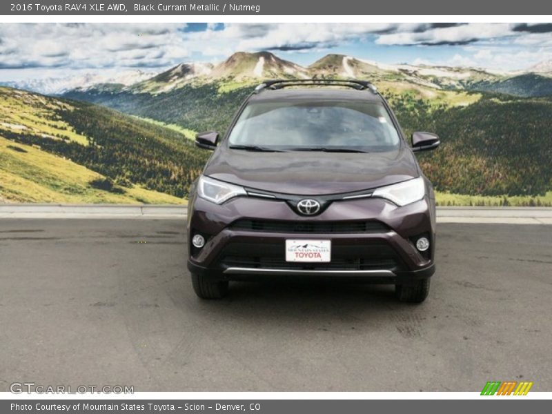 Black Currant Metallic / Nutmeg 2016 Toyota RAV4 XLE AWD