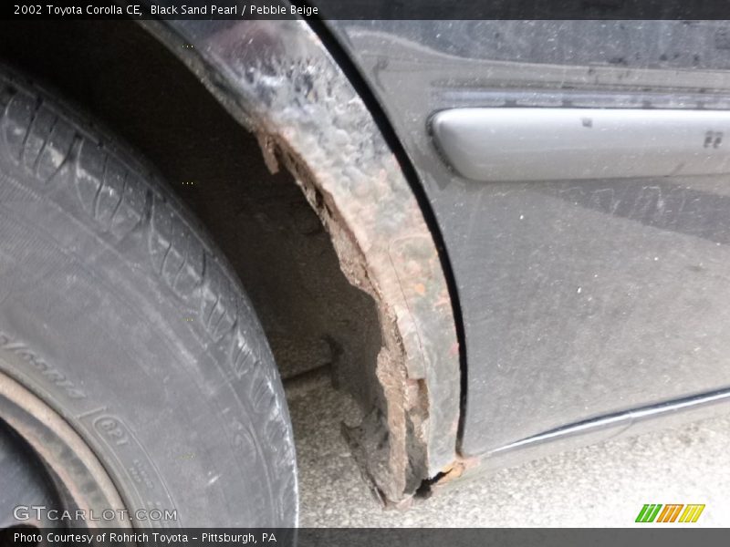 Black Sand Pearl / Pebble Beige 2002 Toyota Corolla CE