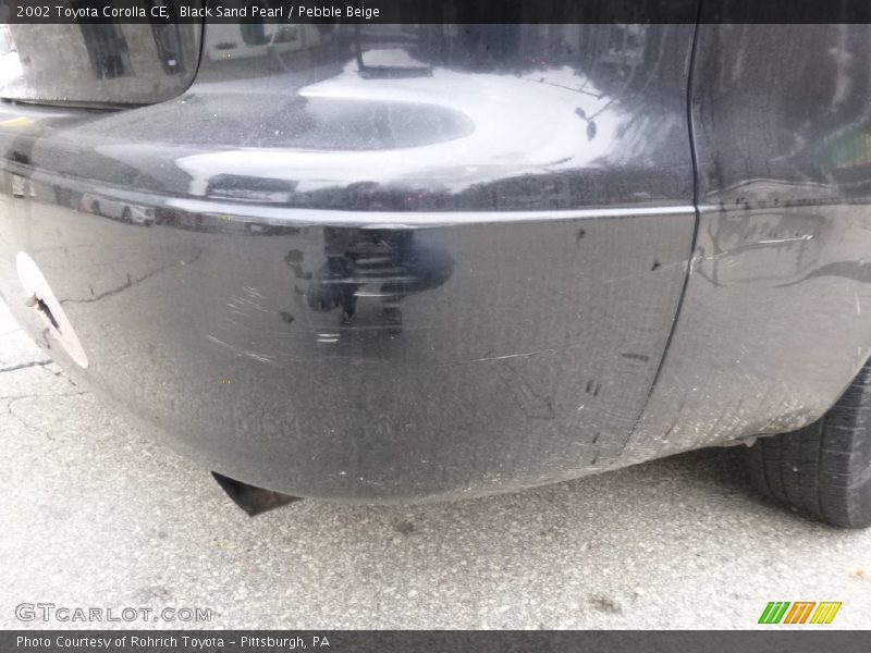 Black Sand Pearl / Pebble Beige 2002 Toyota Corolla CE