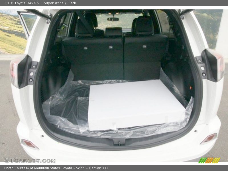Super White / Black 2016 Toyota RAV4 SE