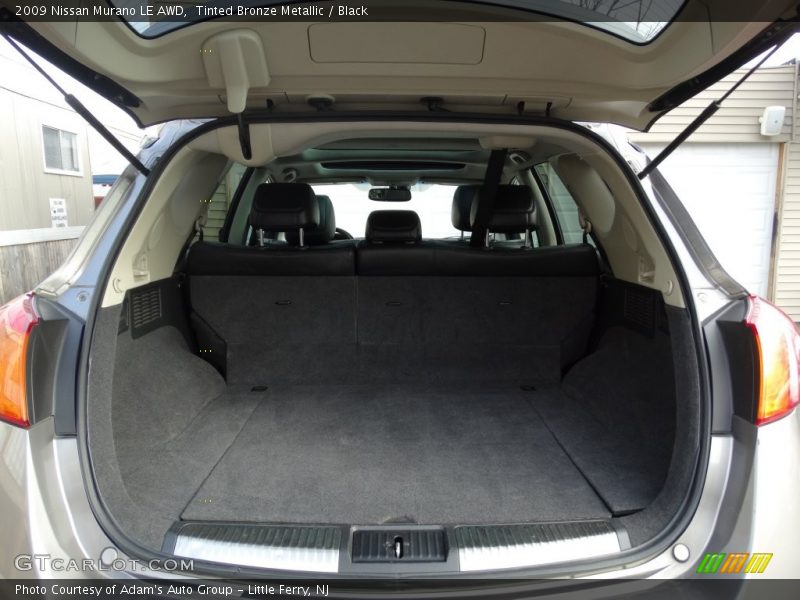 Tinted Bronze Metallic / Black 2009 Nissan Murano LE AWD