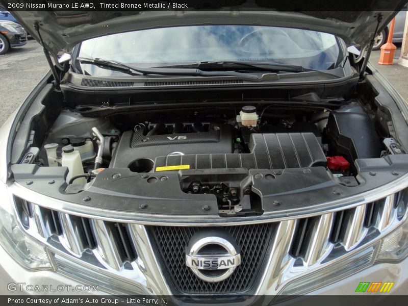 Tinted Bronze Metallic / Black 2009 Nissan Murano LE AWD