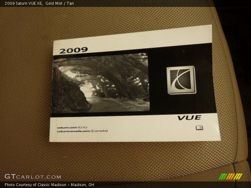 Gold Mist / Tan 2009 Saturn VUE XE