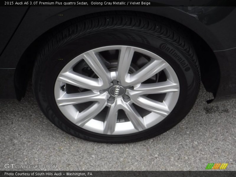 Oolong Gray Metallic / Velvet Beige 2015 Audi A6 3.0T Premium Plus quattro Sedan