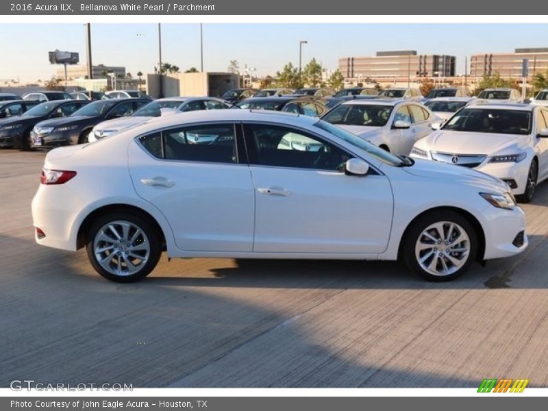 Bellanova White Pearl / Parchment 2016 Acura ILX