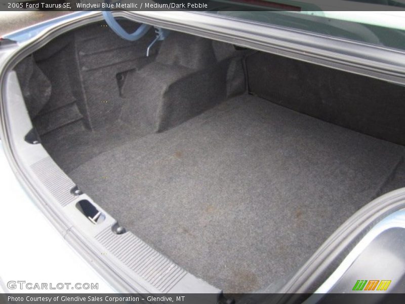 Windveil Blue Metallic / Medium/Dark Pebble 2005 Ford Taurus SE