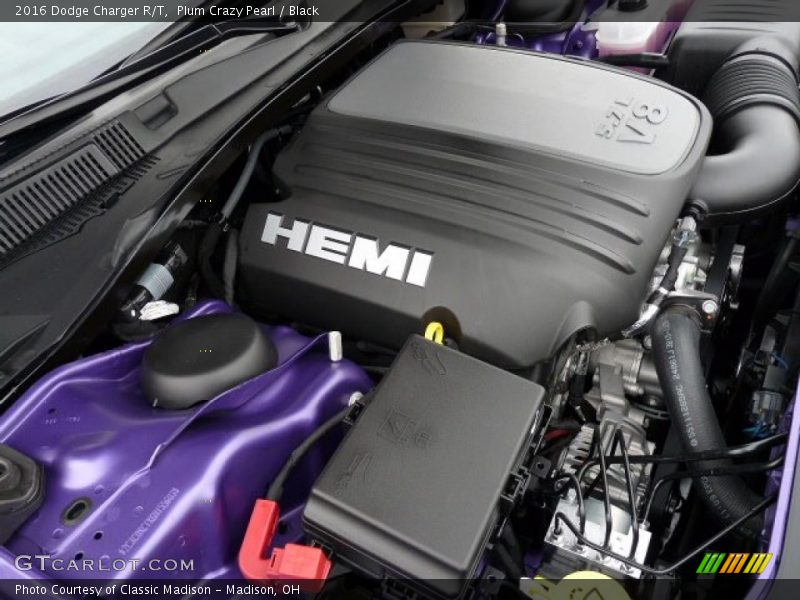 Plum Crazy Pearl / Black 2016 Dodge Charger R/T