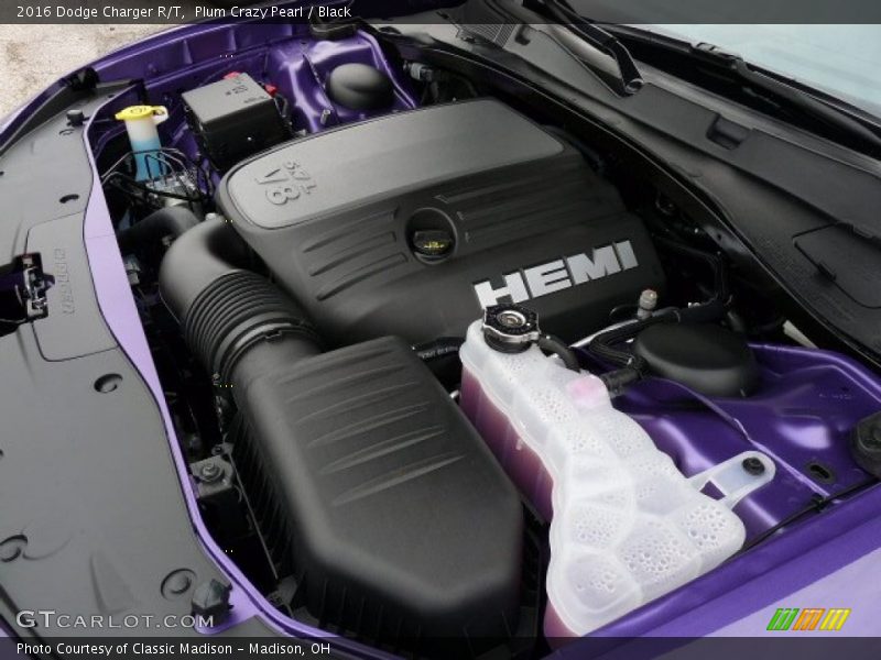 Plum Crazy Pearl / Black 2016 Dodge Charger R/T