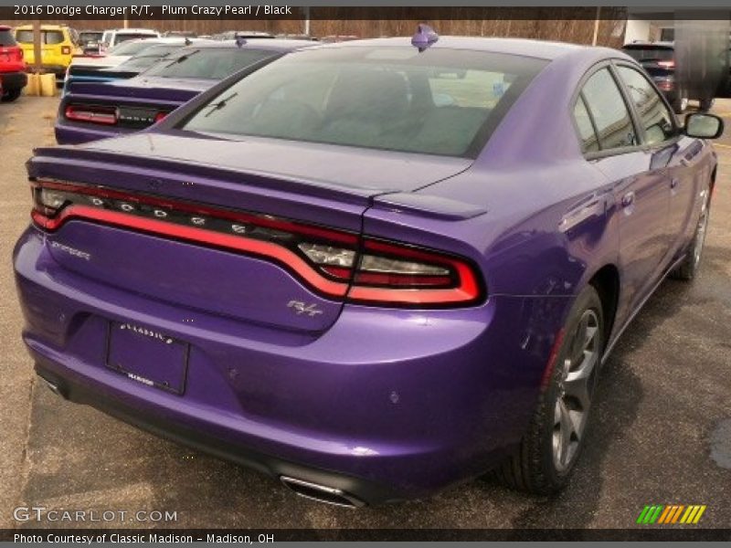 Plum Crazy Pearl / Black 2016 Dodge Charger R/T