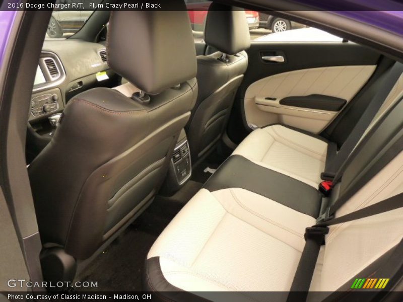 Plum Crazy Pearl / Black 2016 Dodge Charger R/T