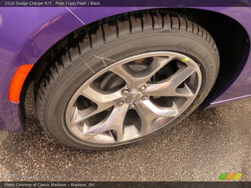 Plum Crazy Pearl / Black 2016 Dodge Charger R/T