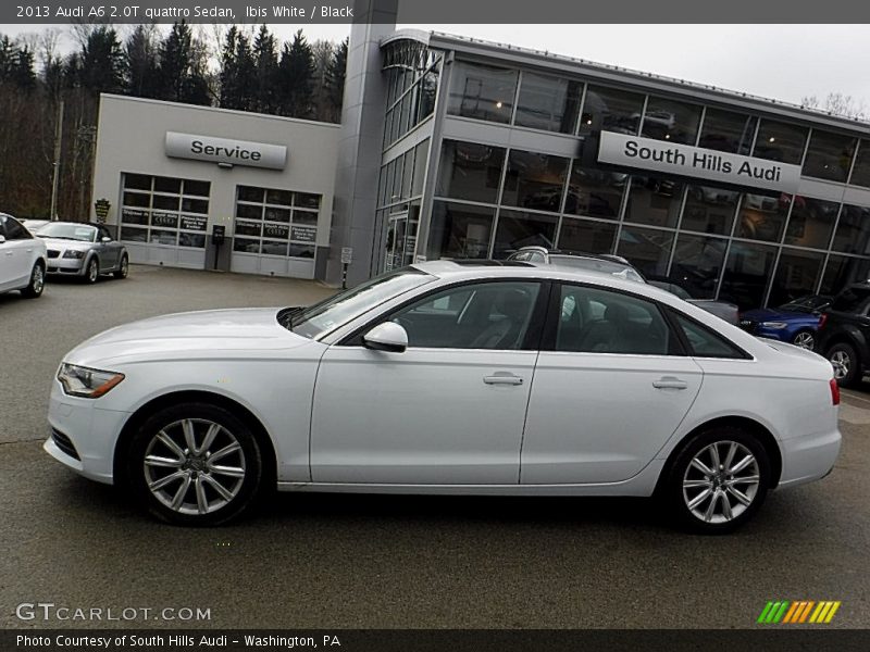 Ibis White / Black 2013 Audi A6 2.0T quattro Sedan