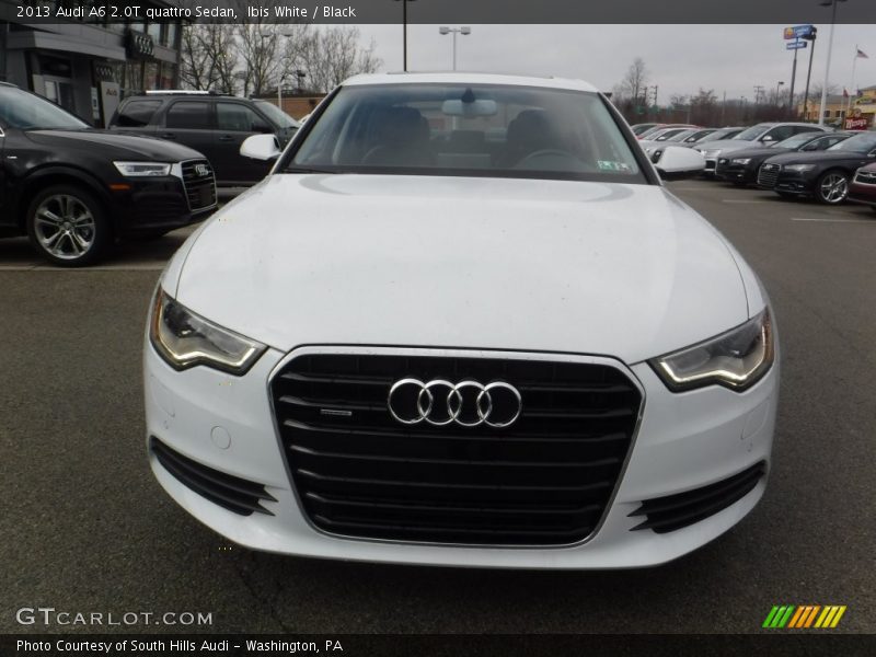 Ibis White / Black 2013 Audi A6 2.0T quattro Sedan