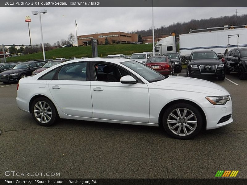 Ibis White / Black 2013 Audi A6 2.0T quattro Sedan