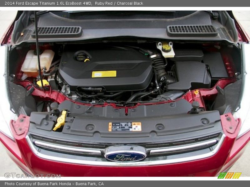 Ruby Red / Charcoal Black 2014 Ford Escape Titanium 1.6L EcoBoost 4WD
