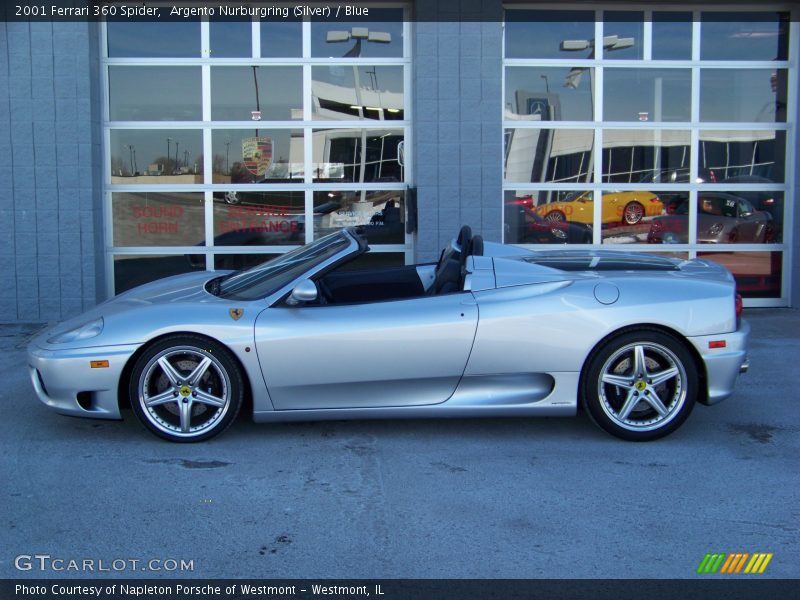 Argento Nurburgring (Silver) / Blue 2001 Ferrari 360 Spider
