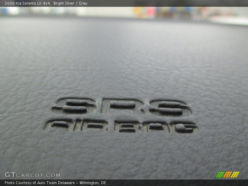 Bright Silver / Gray 2009 Kia Sorento LX 4x4