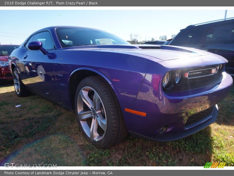 Plum Crazy Pearl / Black 2016 Dodge Challenger R/T