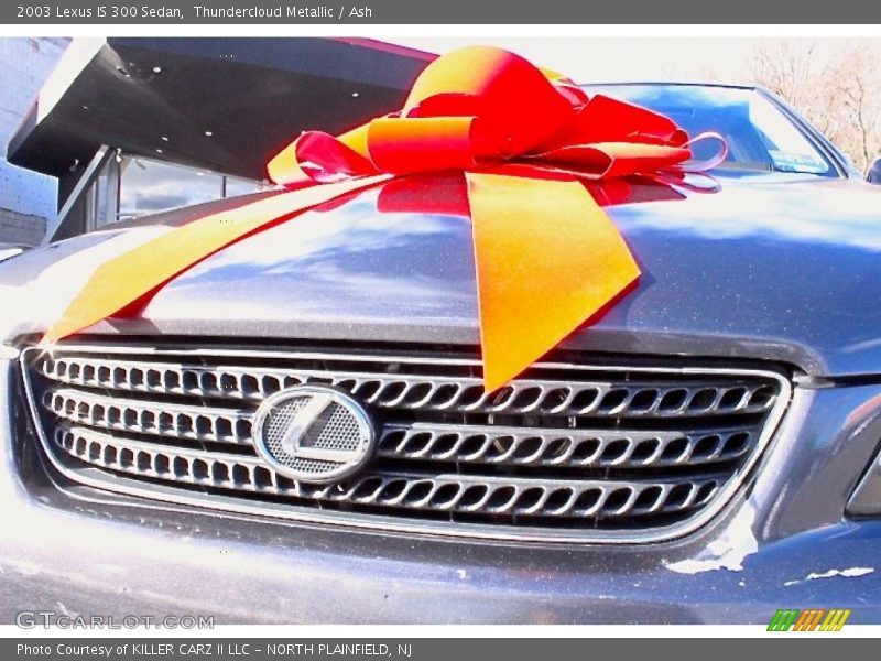 Thundercloud Metallic / Ash 2003 Lexus IS 300 Sedan