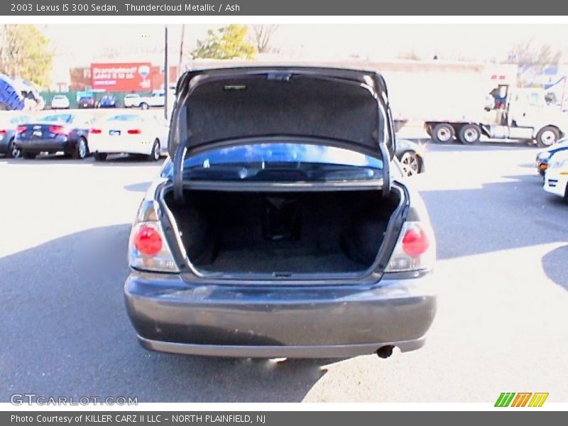 Thundercloud Metallic / Ash 2003 Lexus IS 300 Sedan