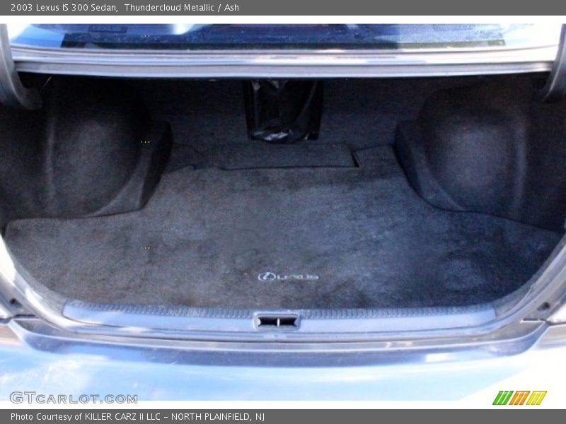 Thundercloud Metallic / Ash 2003 Lexus IS 300 Sedan