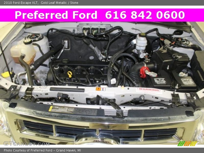 Gold Leaf Metallic / Stone 2010 Ford Escape XLT