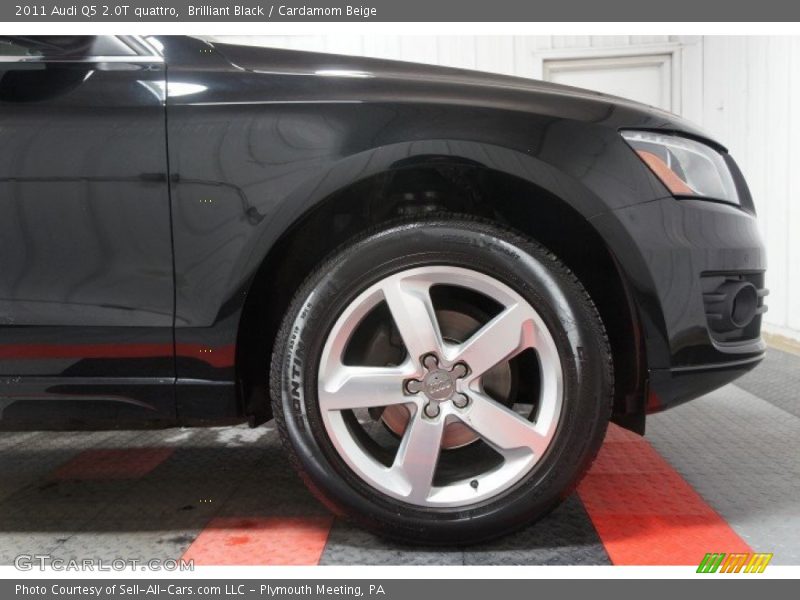 Brilliant Black / Cardamom Beige 2011 Audi Q5 2.0T quattro