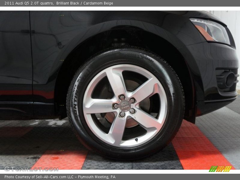 Brilliant Black / Cardamom Beige 2011 Audi Q5 2.0T quattro