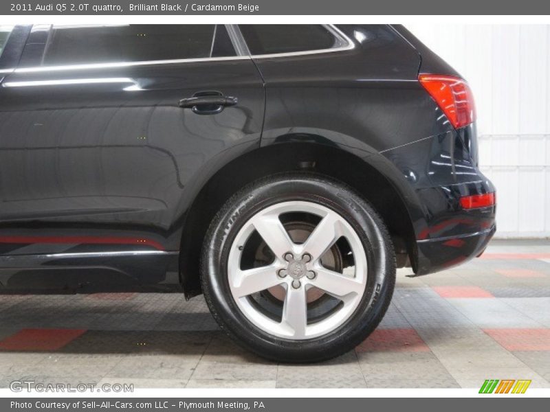 Brilliant Black / Cardamom Beige 2011 Audi Q5 2.0T quattro