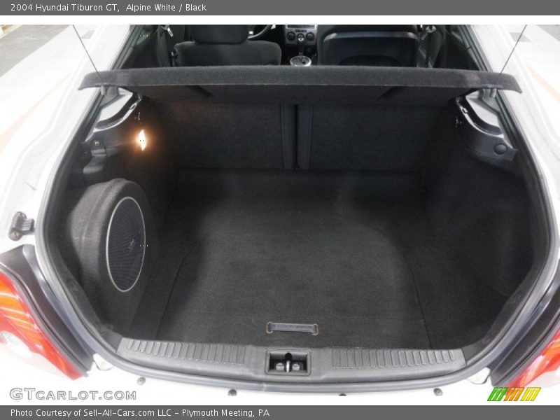 Alpine White / Black 2004 Hyundai Tiburon GT