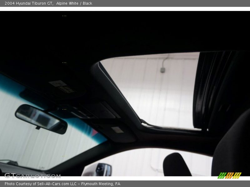 Alpine White / Black 2004 Hyundai Tiburon GT