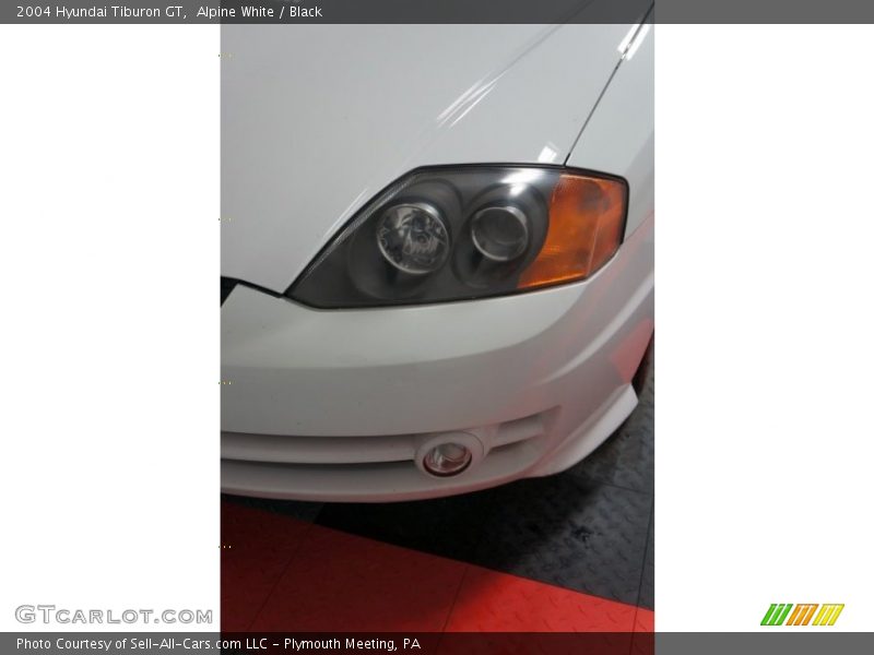 Alpine White / Black 2004 Hyundai Tiburon GT