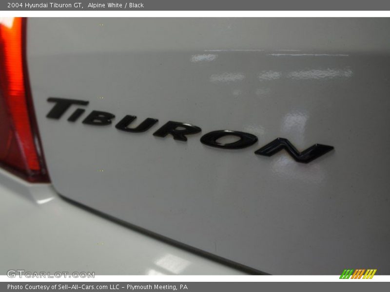 Alpine White / Black 2004 Hyundai Tiburon GT