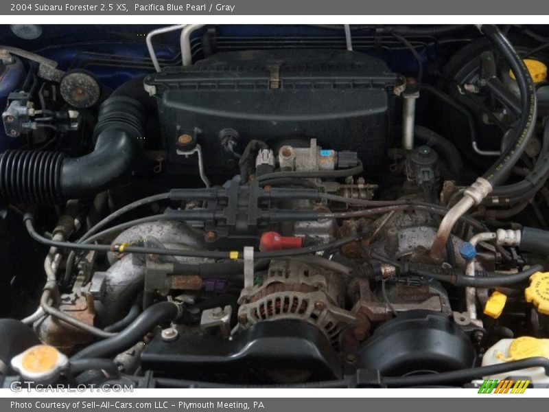 Pacifica Blue Pearl / Gray 2004 Subaru Forester 2.5 XS