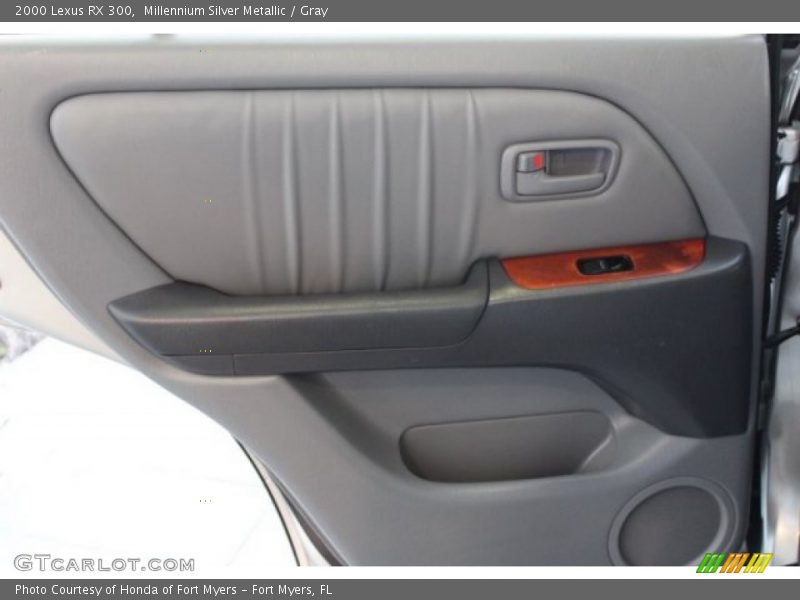 Millennium Silver Metallic / Gray 2000 Lexus RX 300