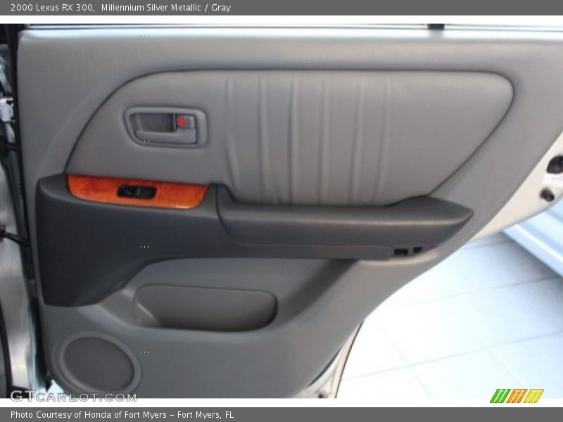 Millennium Silver Metallic / Gray 2000 Lexus RX 300